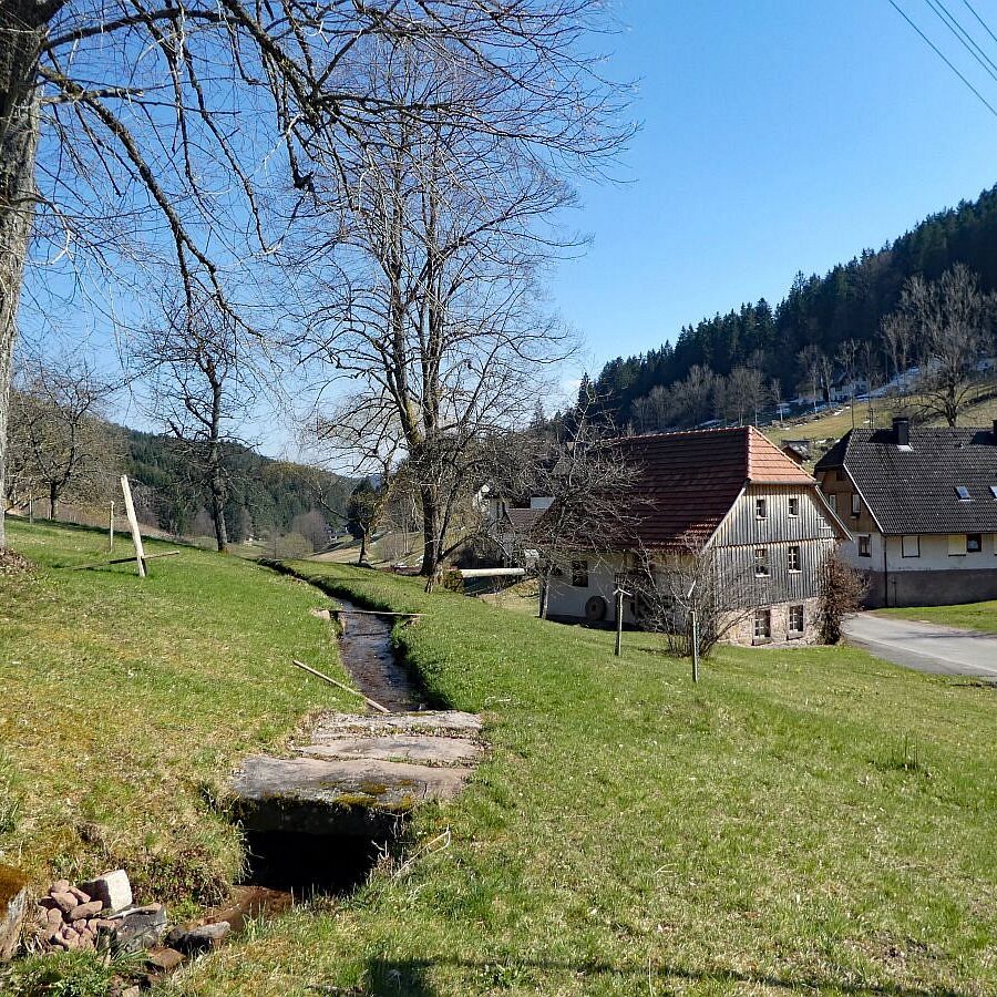 Mühlen im Eichbachtal 8