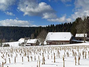 Ober und Unterfalken