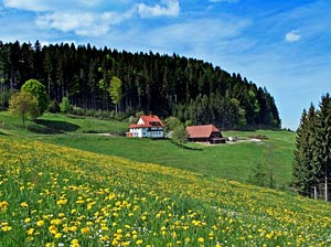 Ramstein
