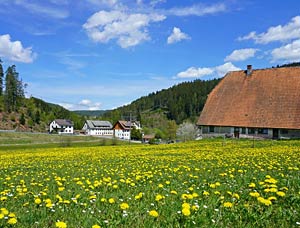 Schützen Bruck