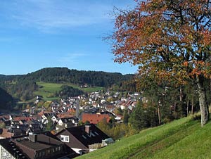 Sommermoos und Dorfberg