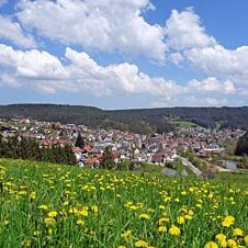Unterm Wald
