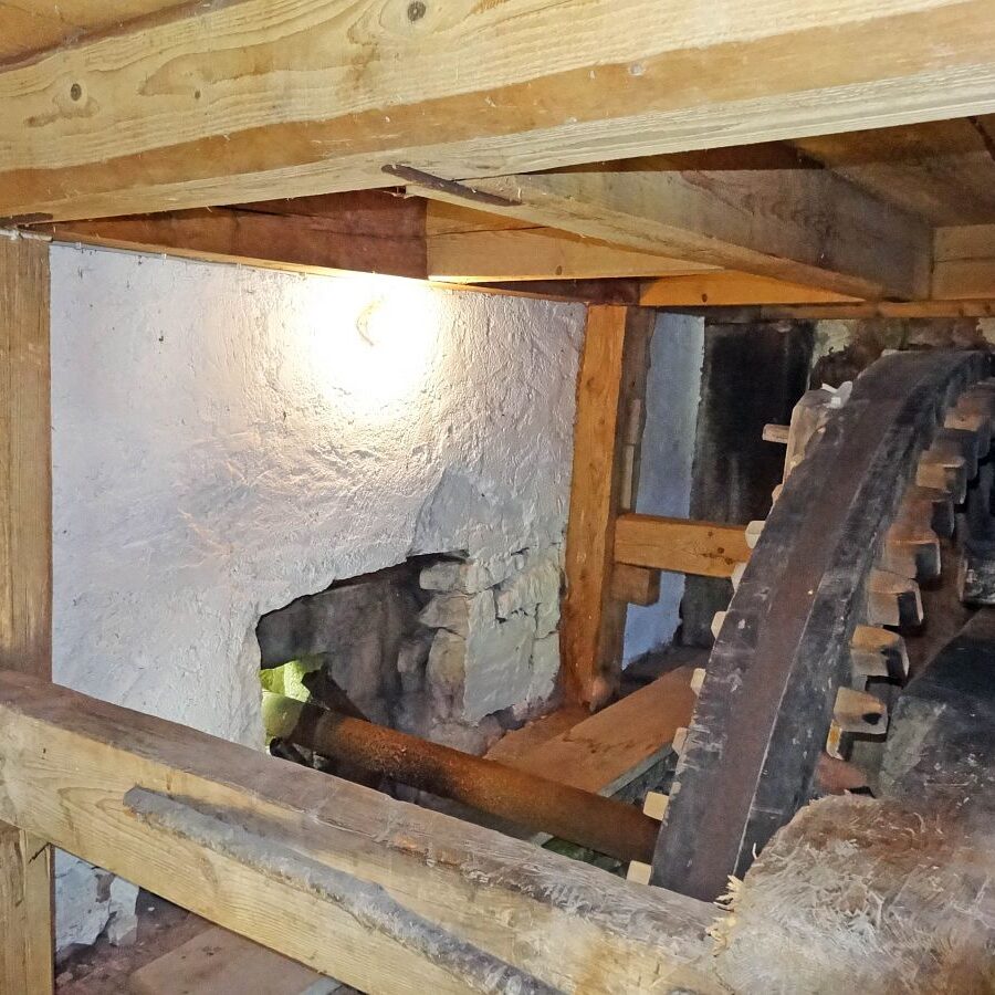 Wiesenbauernbauernmühle - Das Kammrad