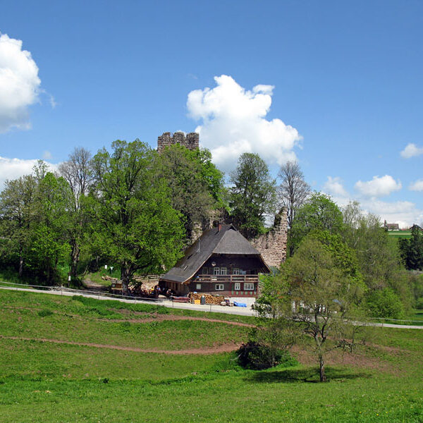 Ruine Waldau