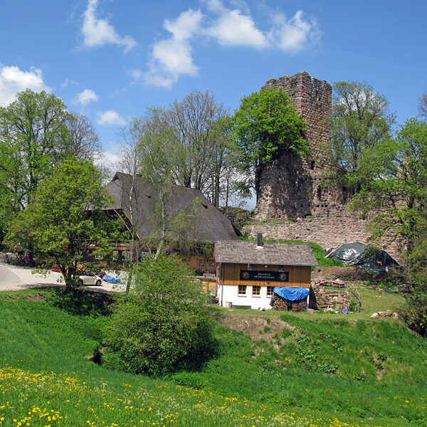 Ruine Waldau