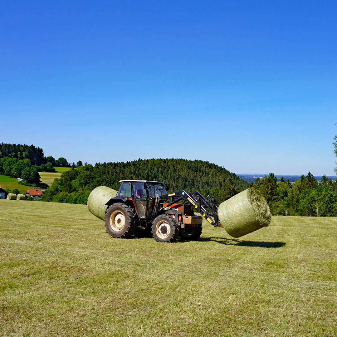 Heuernte in Tennenbronn