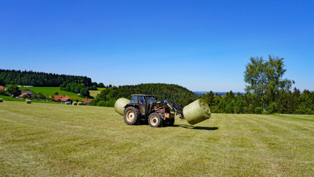 Heuernte in Tennenbronn