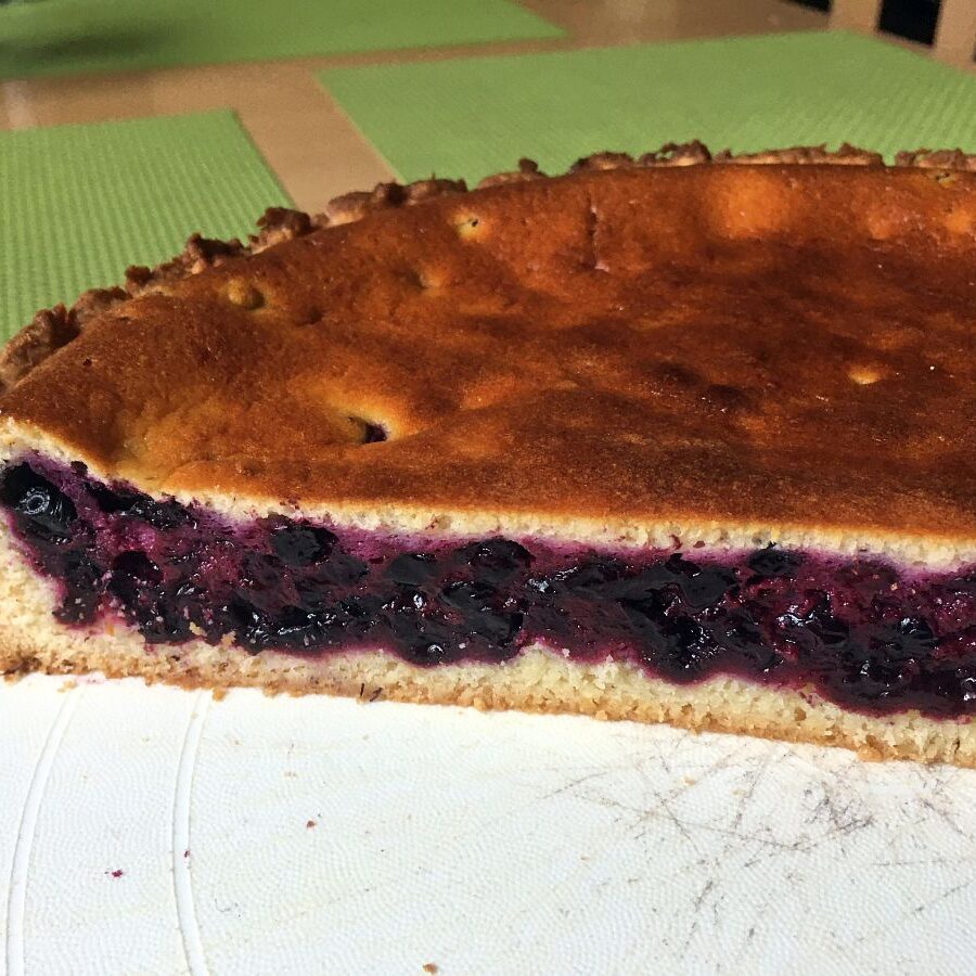 Heidelbeeren in Tennenbronn 6