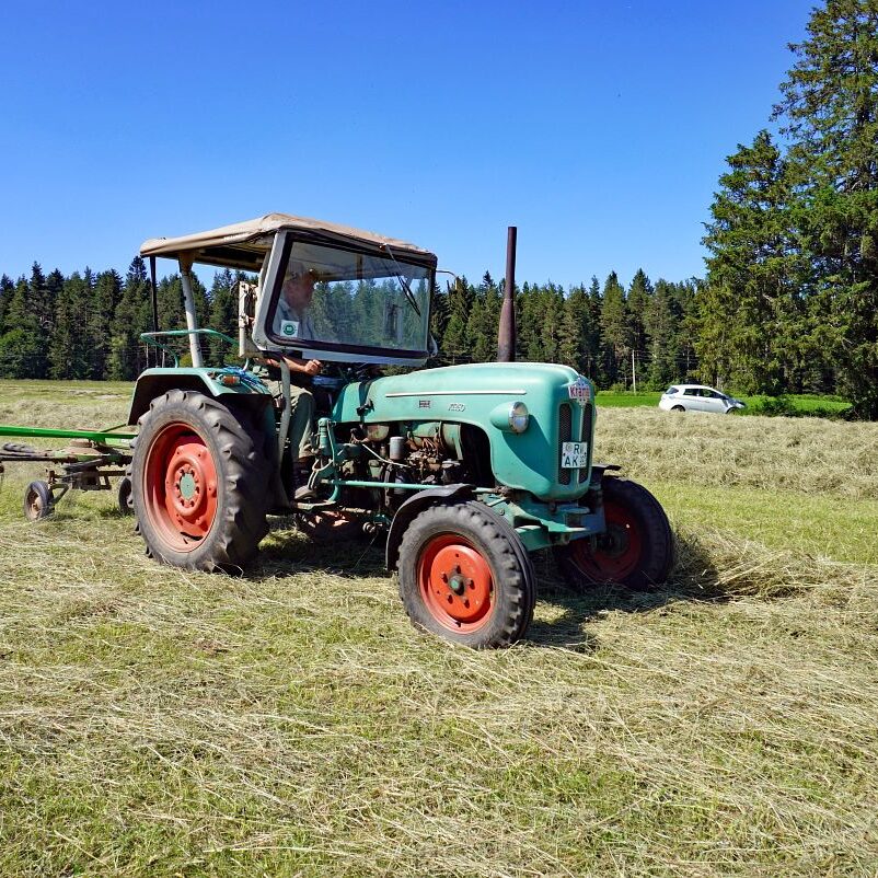 Heuernte in Tennenbronn 10