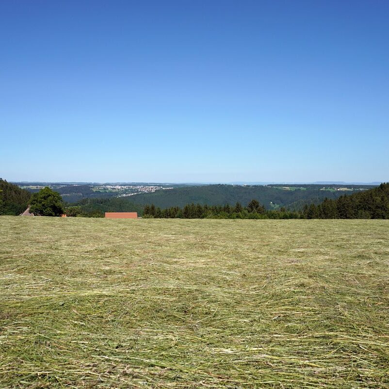 Heuernte in Tennenbronn 12