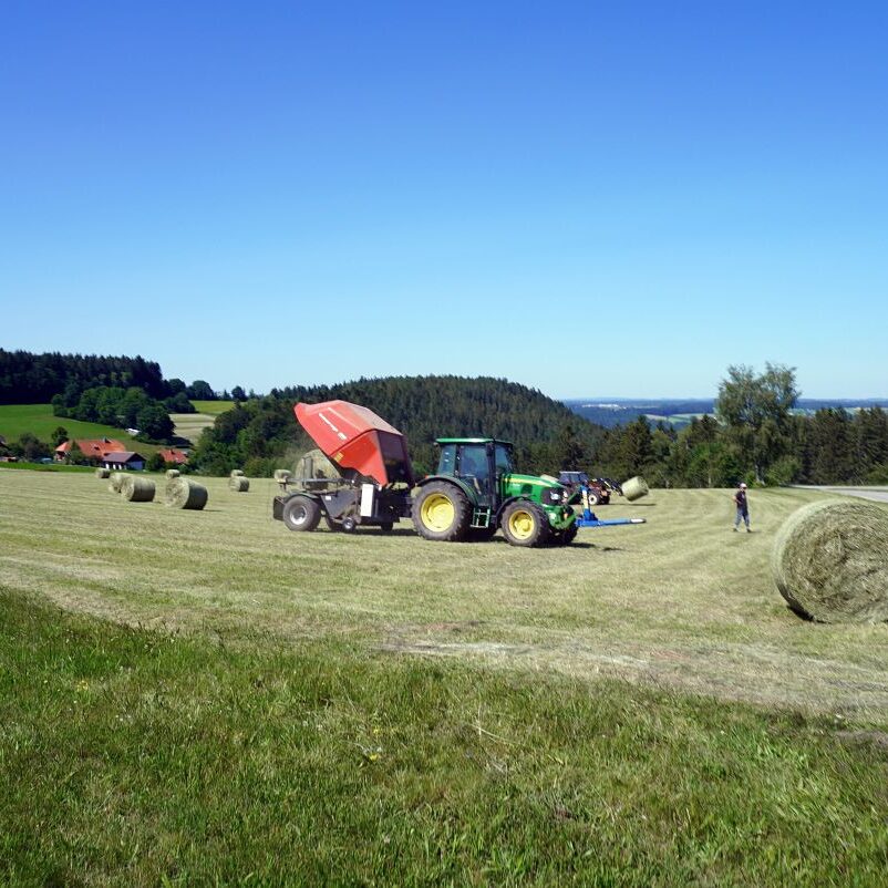 Heuernte in Tennenbronn 13