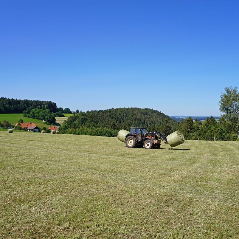 Heuernte in Tennenbronn 14