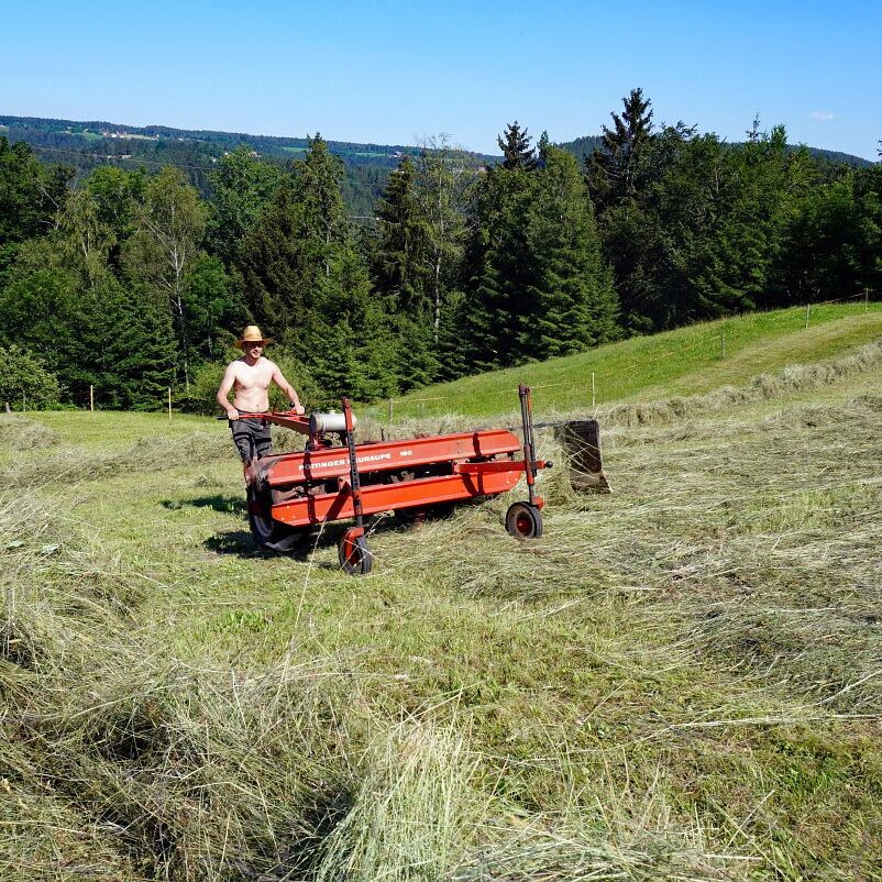 Heuernte in Tennenbronn 16
