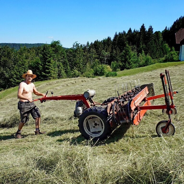 Heuernte in Tennenbronn 17
