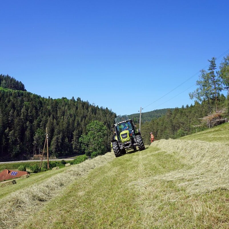 Heuernte in Tennenbronn 19