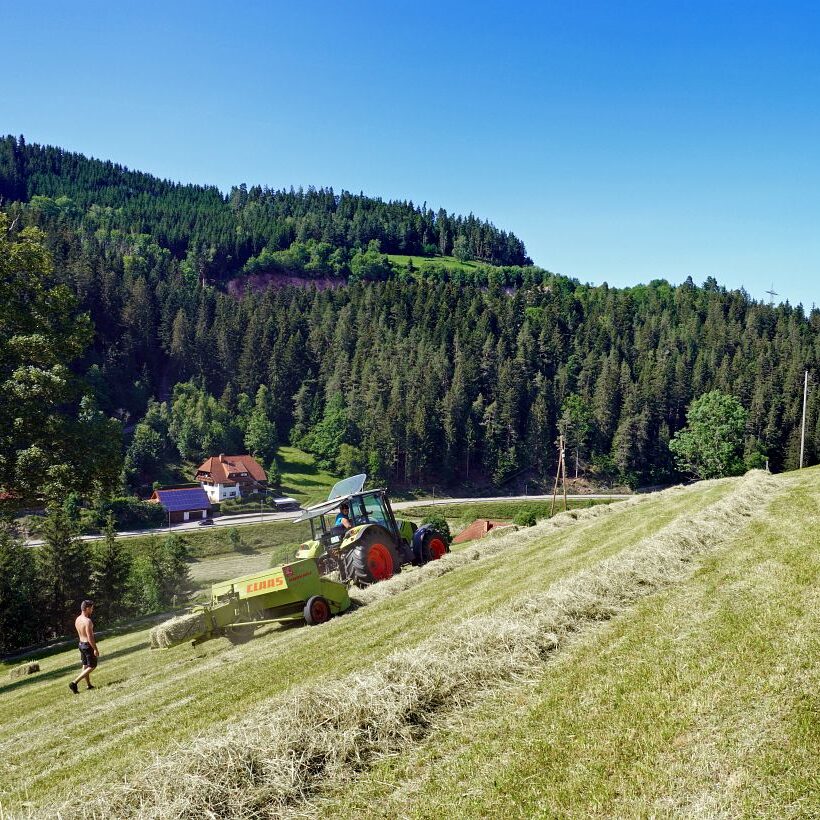 Heuernte in Tennenbronn 20