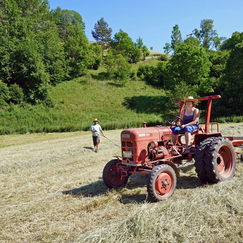 Heuernte in Tennenbronn 22