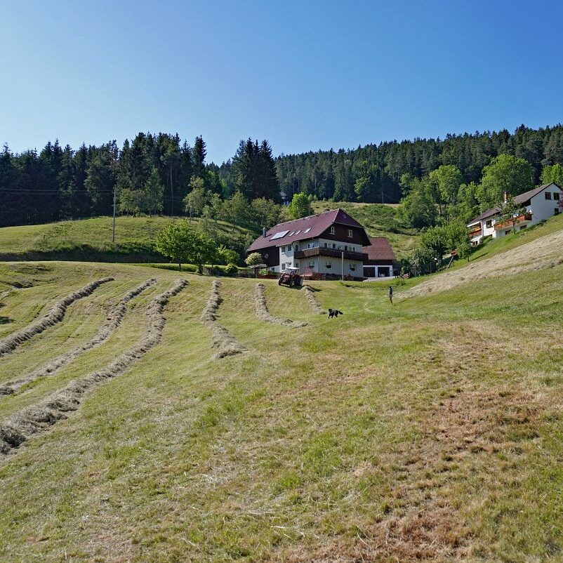 Heuernte in Tennenbronn 24