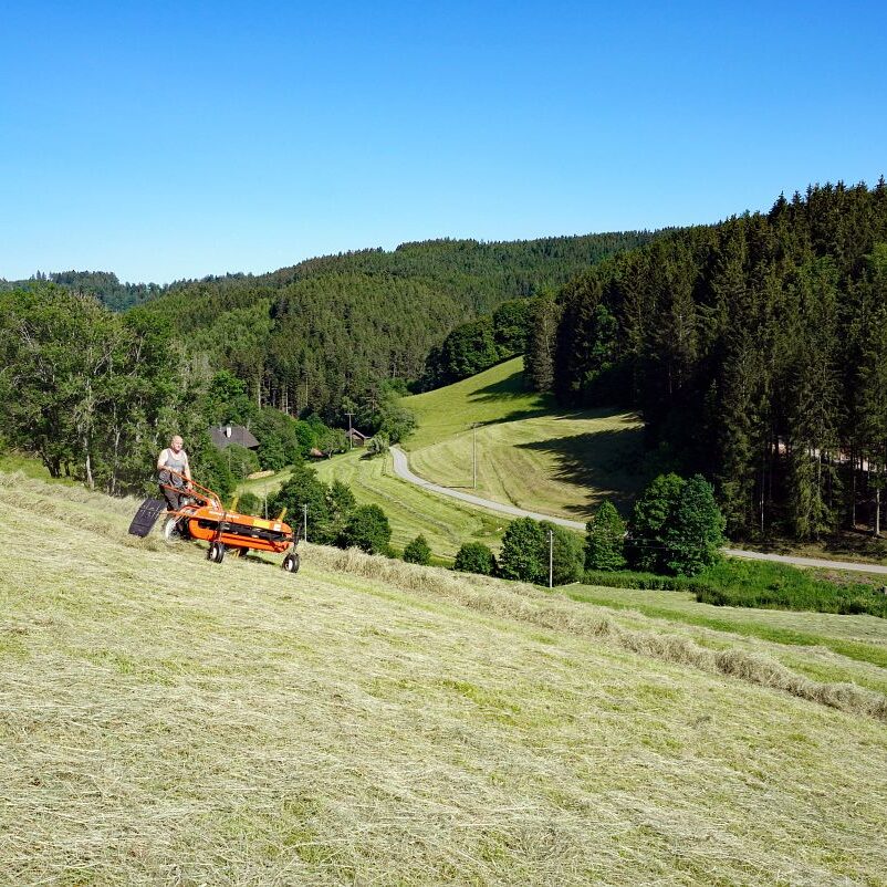 Heuernte in Tennenbronn 25