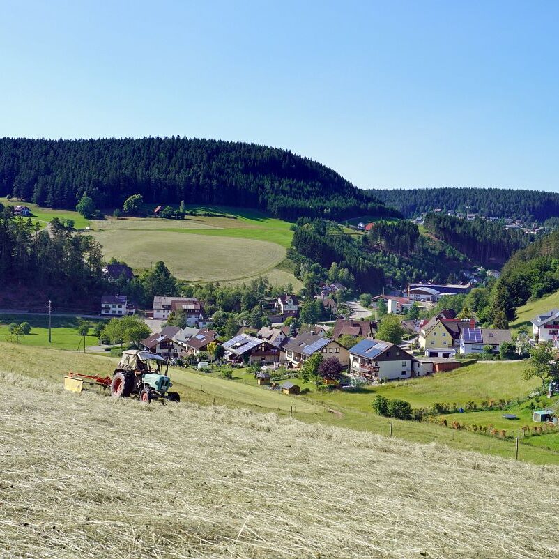 Heuernte in Tennenbronn 29