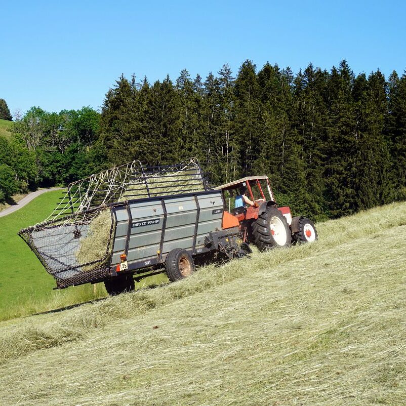 Heuernte in Tennenbronn 30