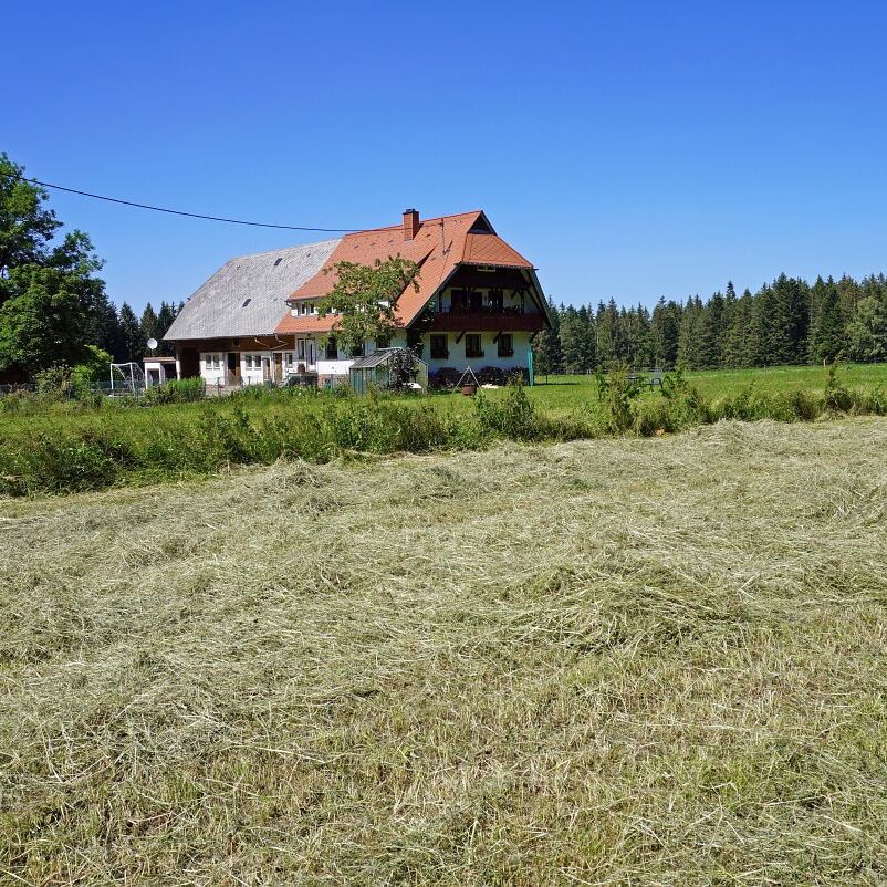 Heuernte in Tennenbronn 4