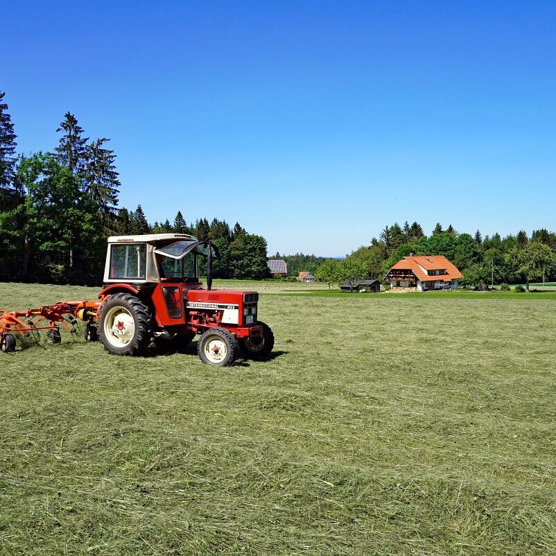 Heuernte in Tennenbronn 6