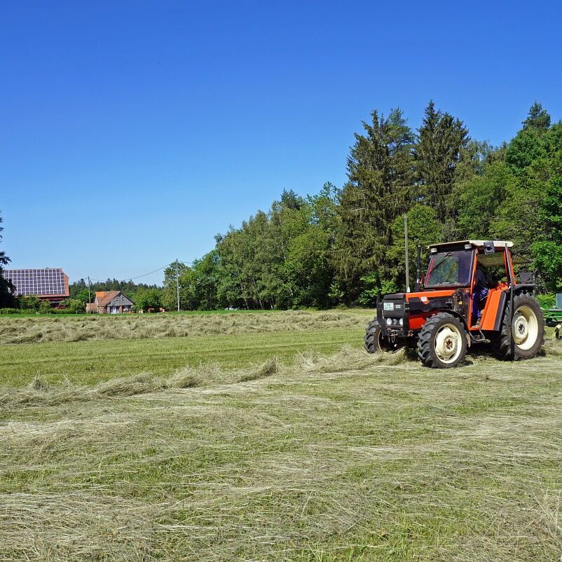 Heuernte in Tennenbronn 7
