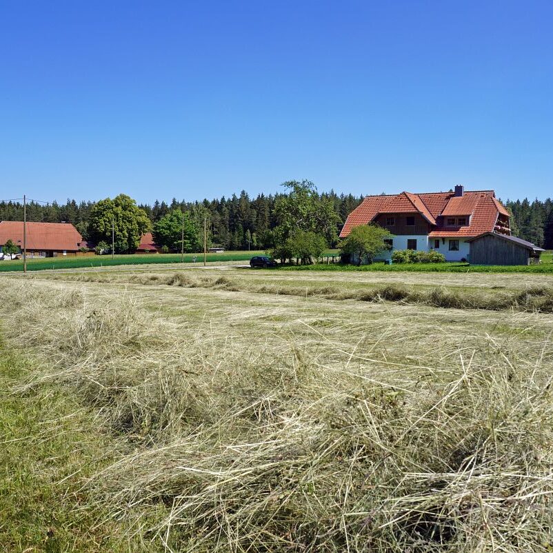 Heuernte in Tennenbronn 8