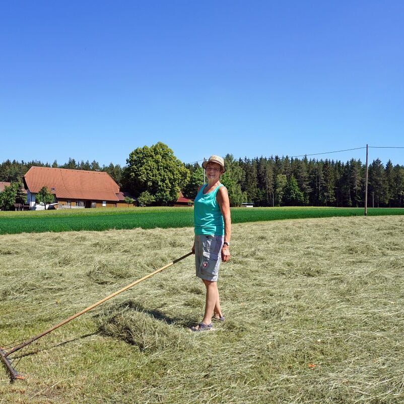 Heuernte in Tennenbronn 9