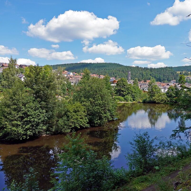 See Tennenbronn 13 1