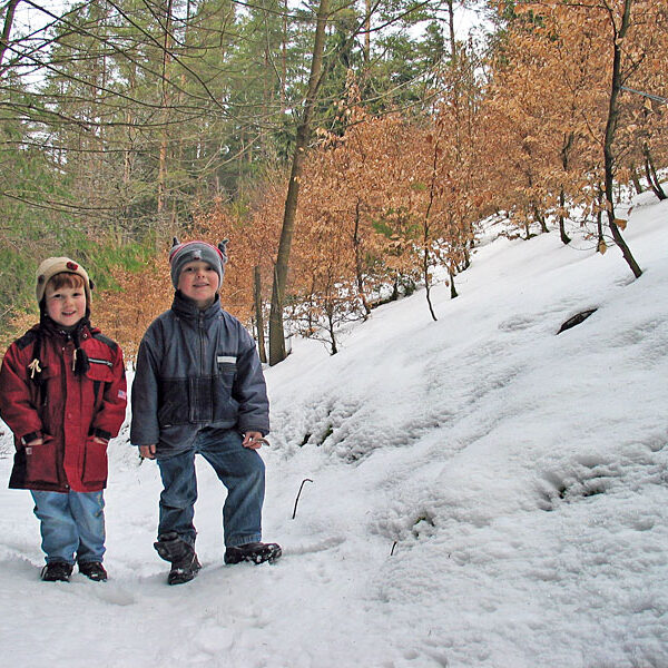 Winterwandern Tennenbronn
