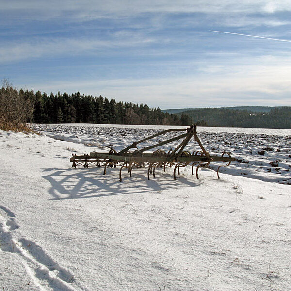 Winterwandern Tennenbronn
