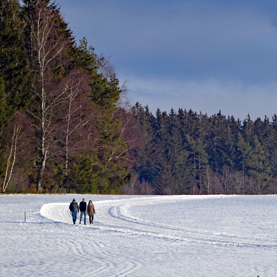 Winterwandern Tennenbronn