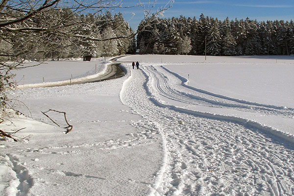 14Winterwandern Tennenbronn