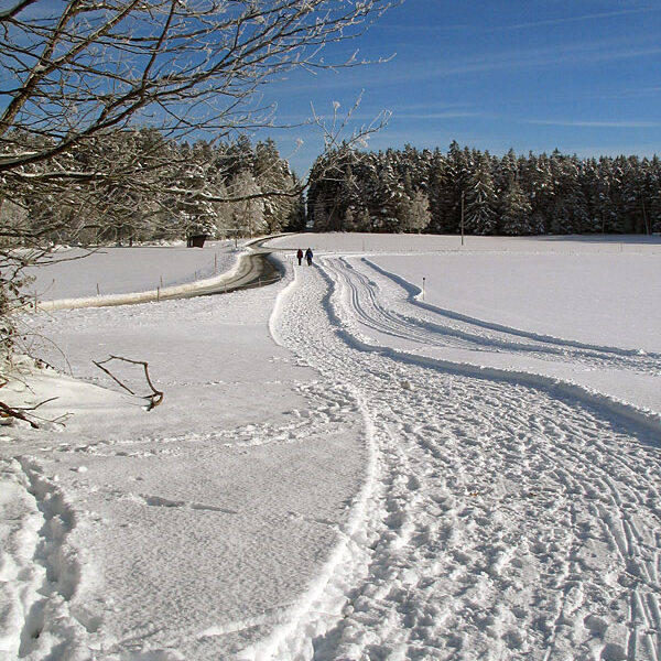 14Winterwandern Tennenbronn