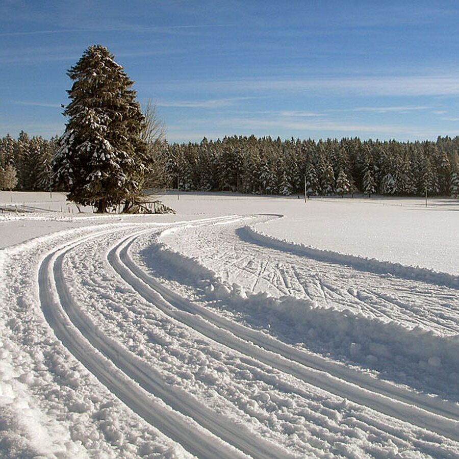 Auerhahn Loipe Tennenbronn 10