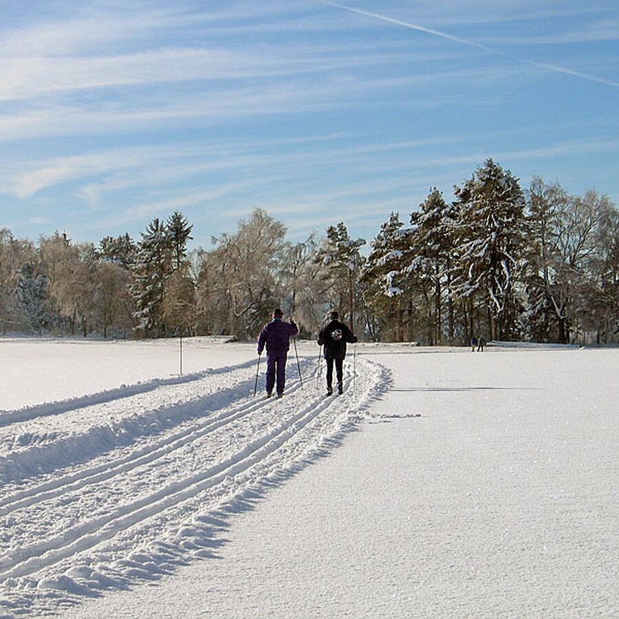Auerhahn Loipe Tennenbronn 11