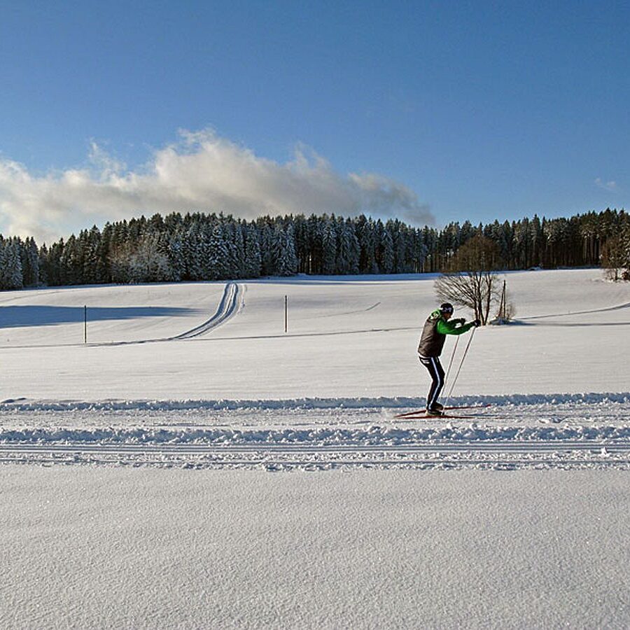 Auerhahn Loipe Tennenbronn 12