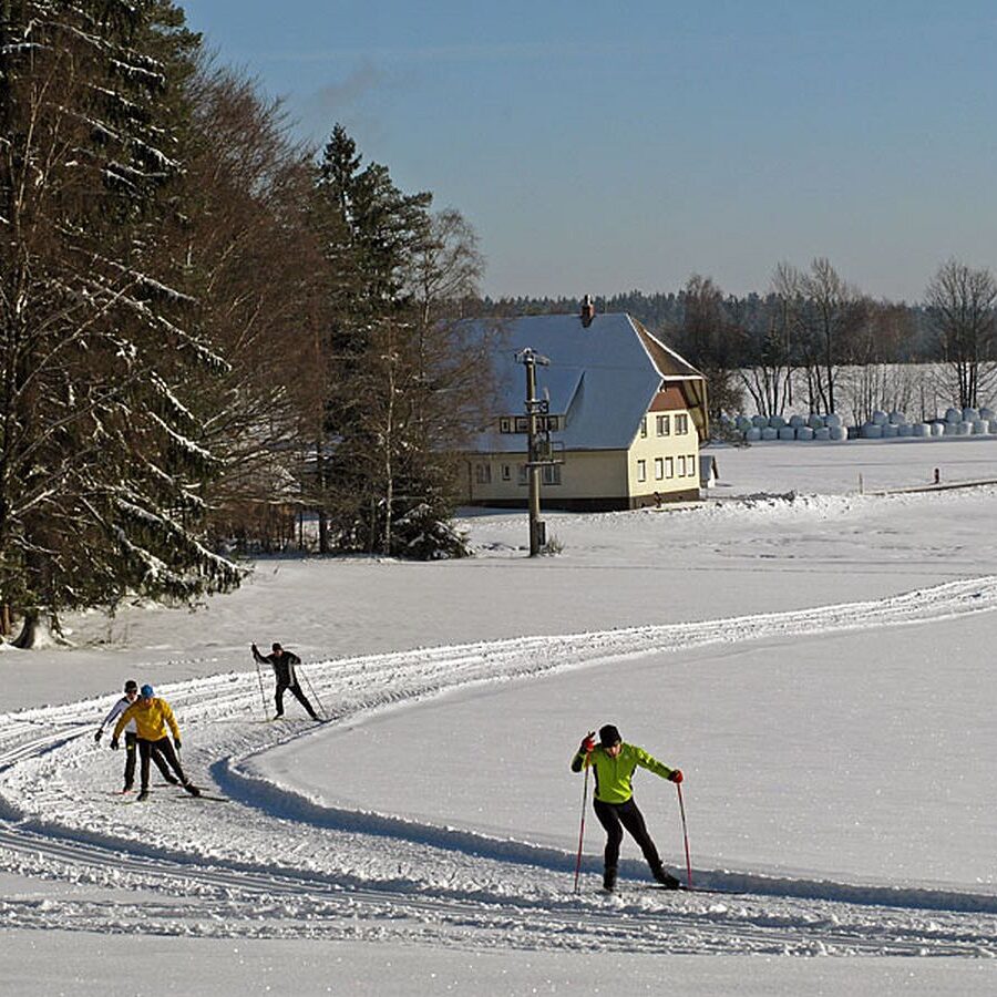 Auerhahn Loipe Tennenbronn 13