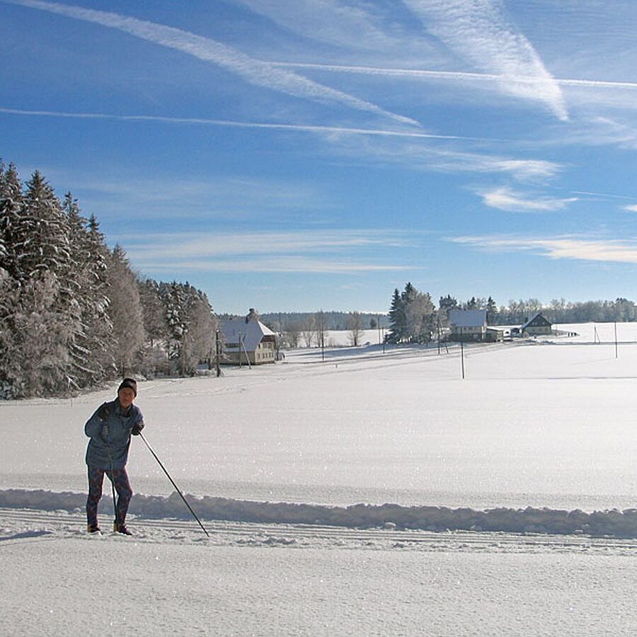 Auerhahn Loipe Tennenbronn 14
