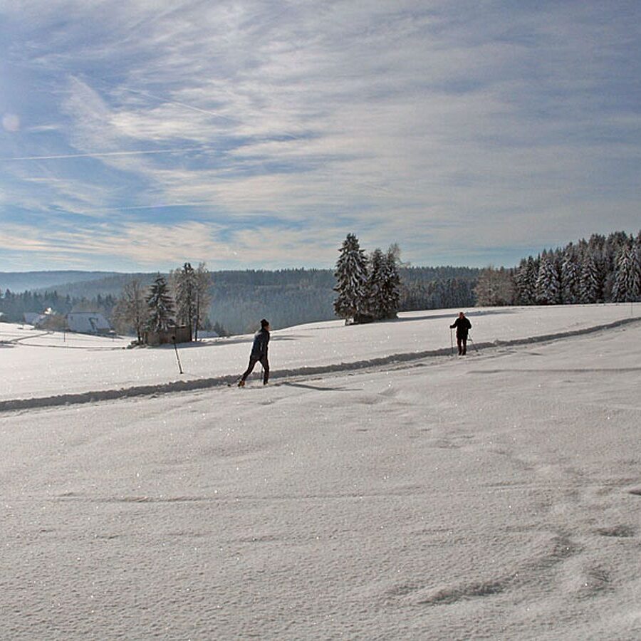 Auerhahn Loipe Tennenbronn 15