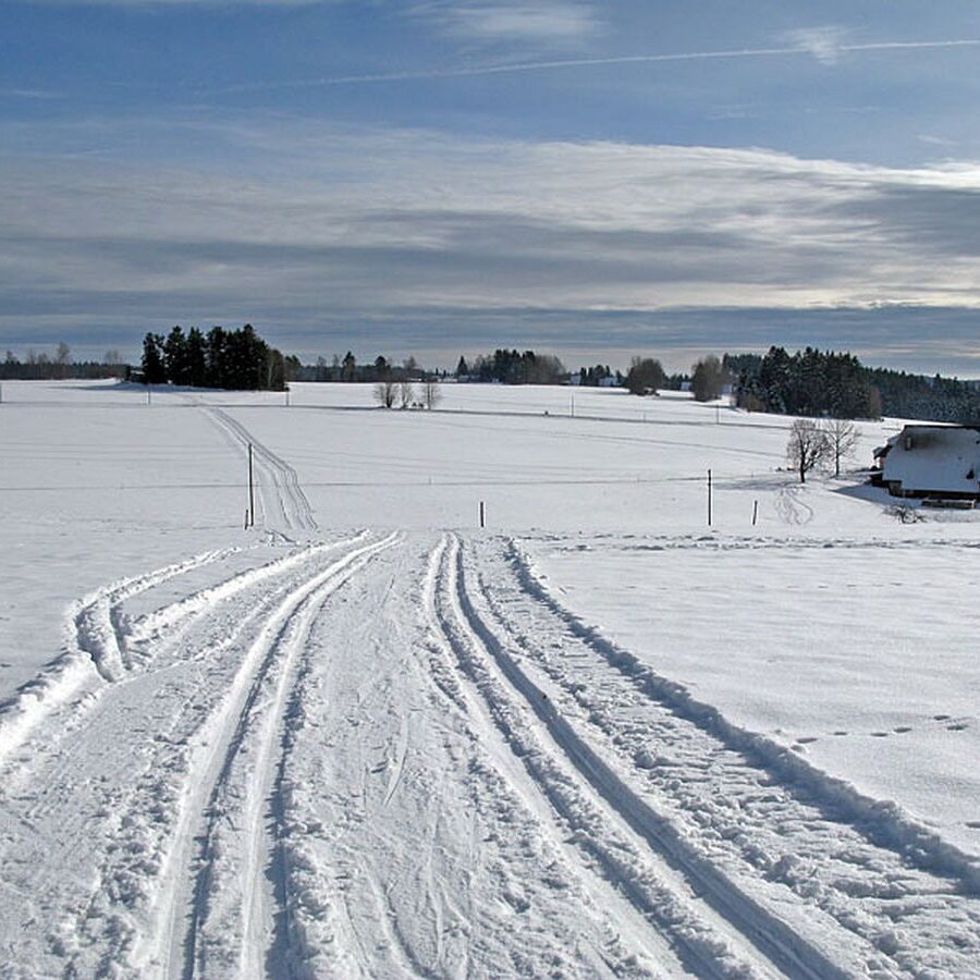 Auerhahn Loipe Tennenbronn 2