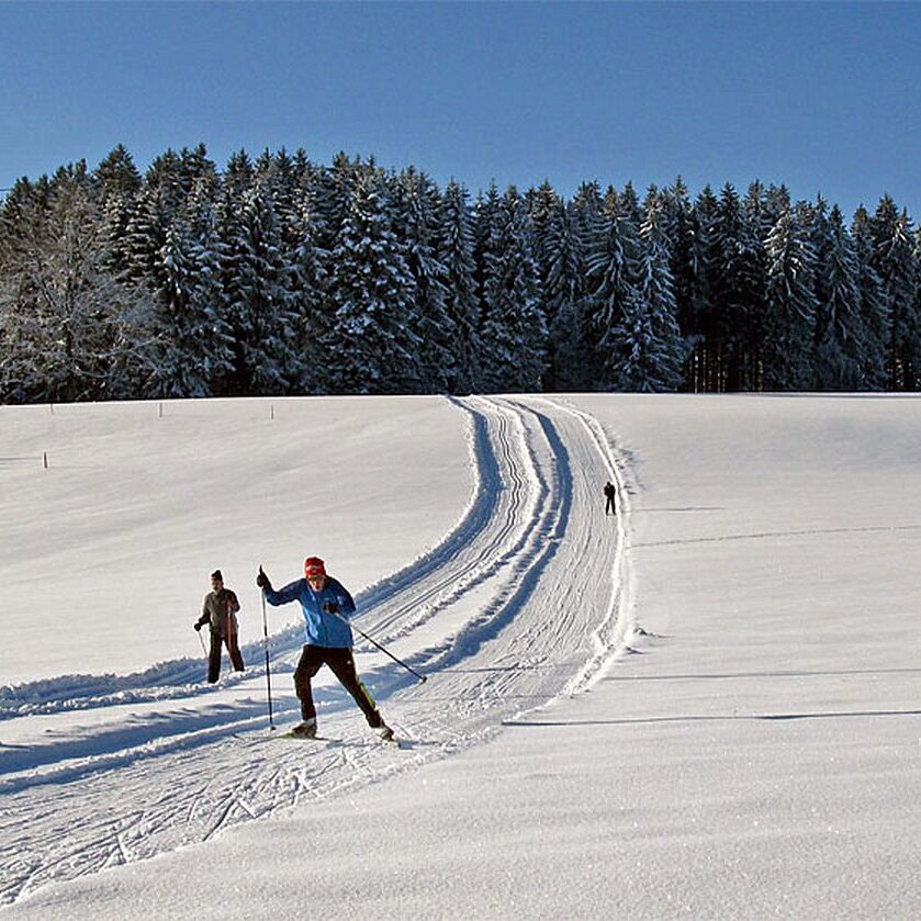 Auerhahn Loipe Tennenbronn 3