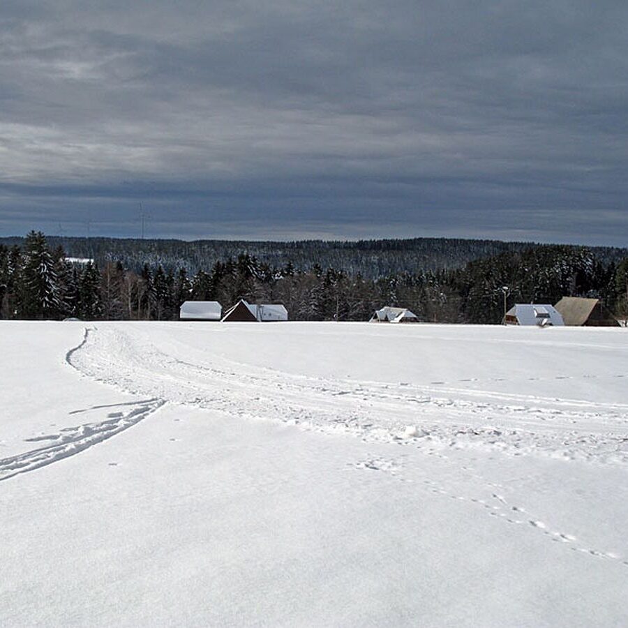 Auerhahn Loipe Tennenbronn 4