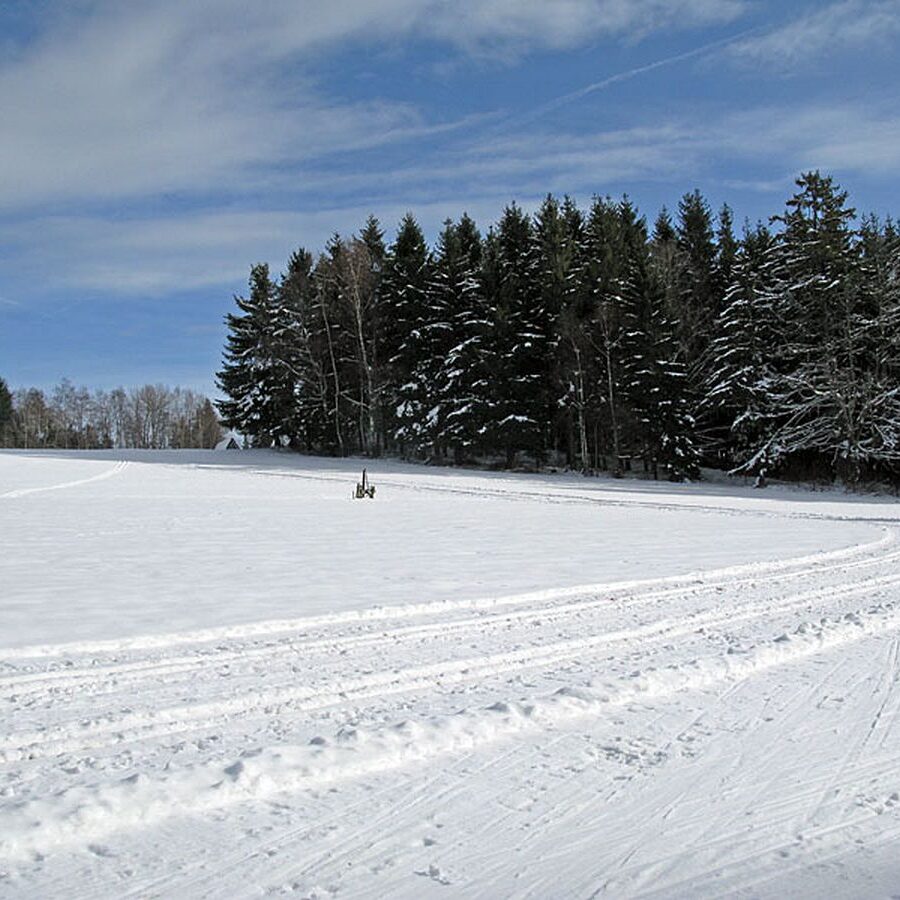 Auerhahn Loipe Tennenbronn 5