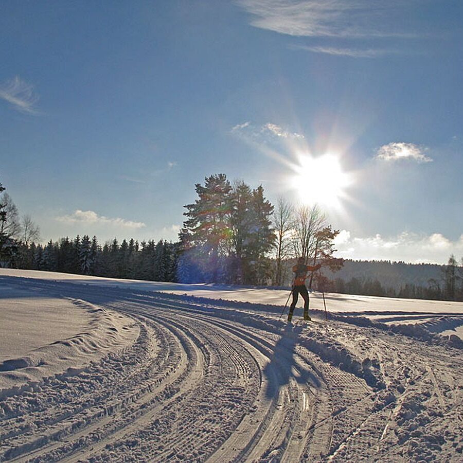 Auerhahn Loipe Tennenbronn 6
