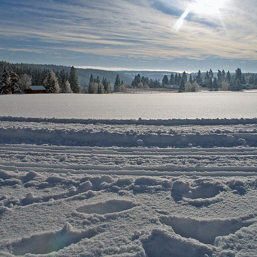 Auerhahn Loipe Tennenbronn 7