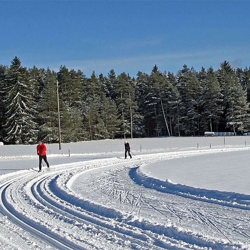 Auerhahn Loipe Tennenbronn 8