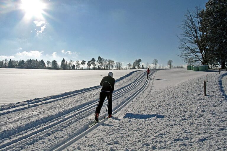 Auerhahn Loipe Tennenbronn 9